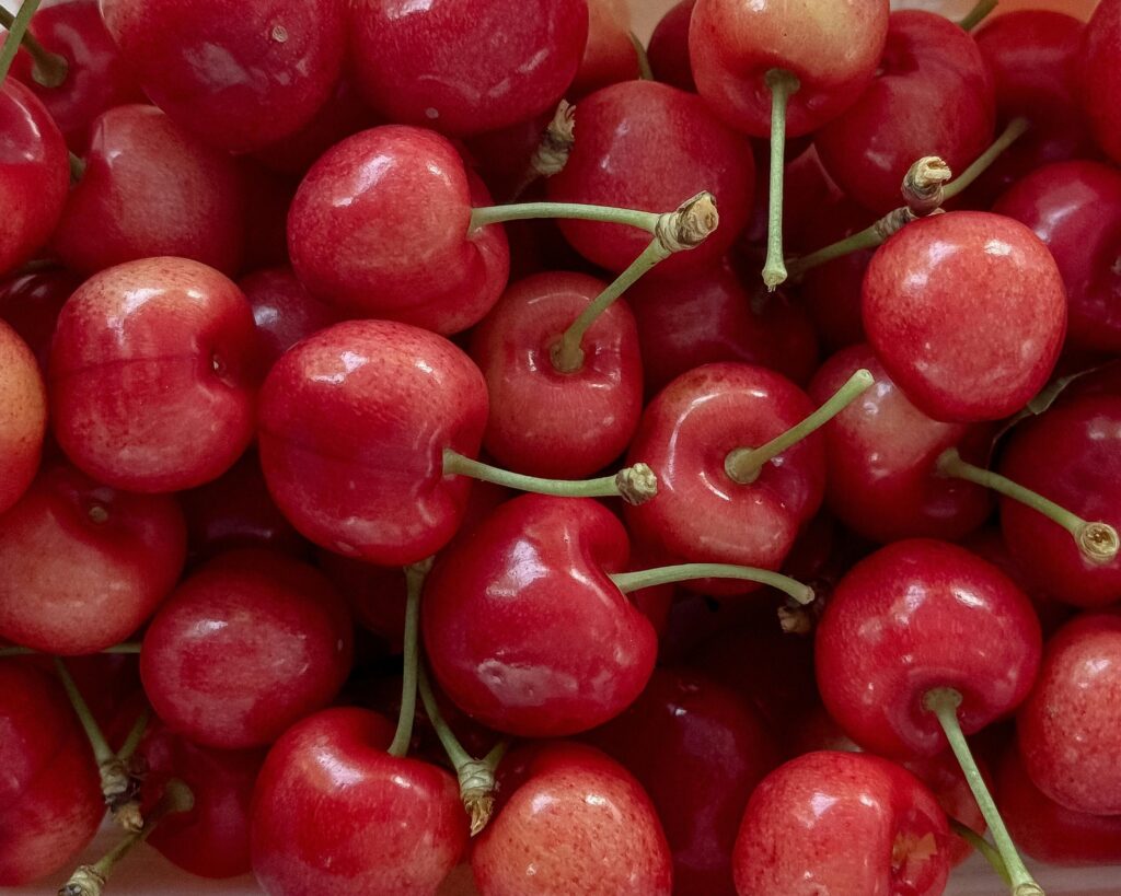 localfood2