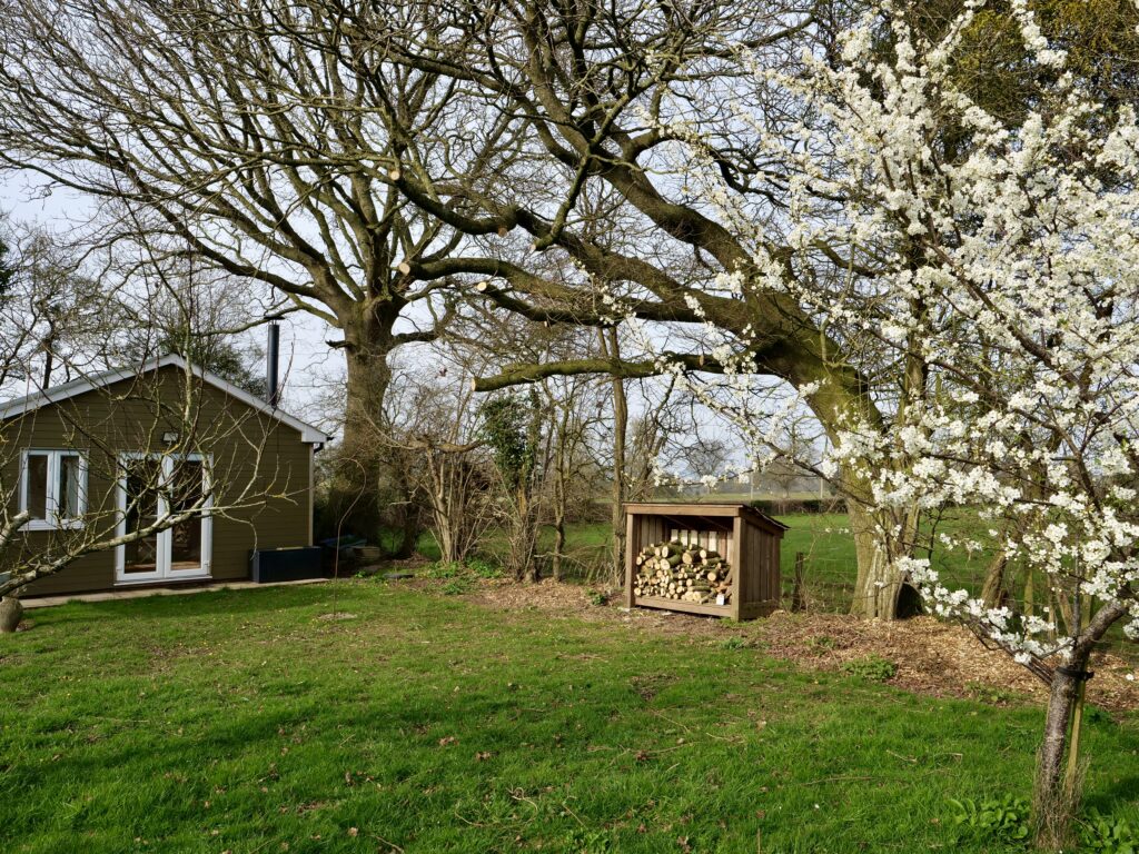 bearwood cabin outdoors1