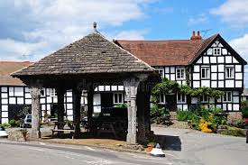 bearwood cabin pembridge1