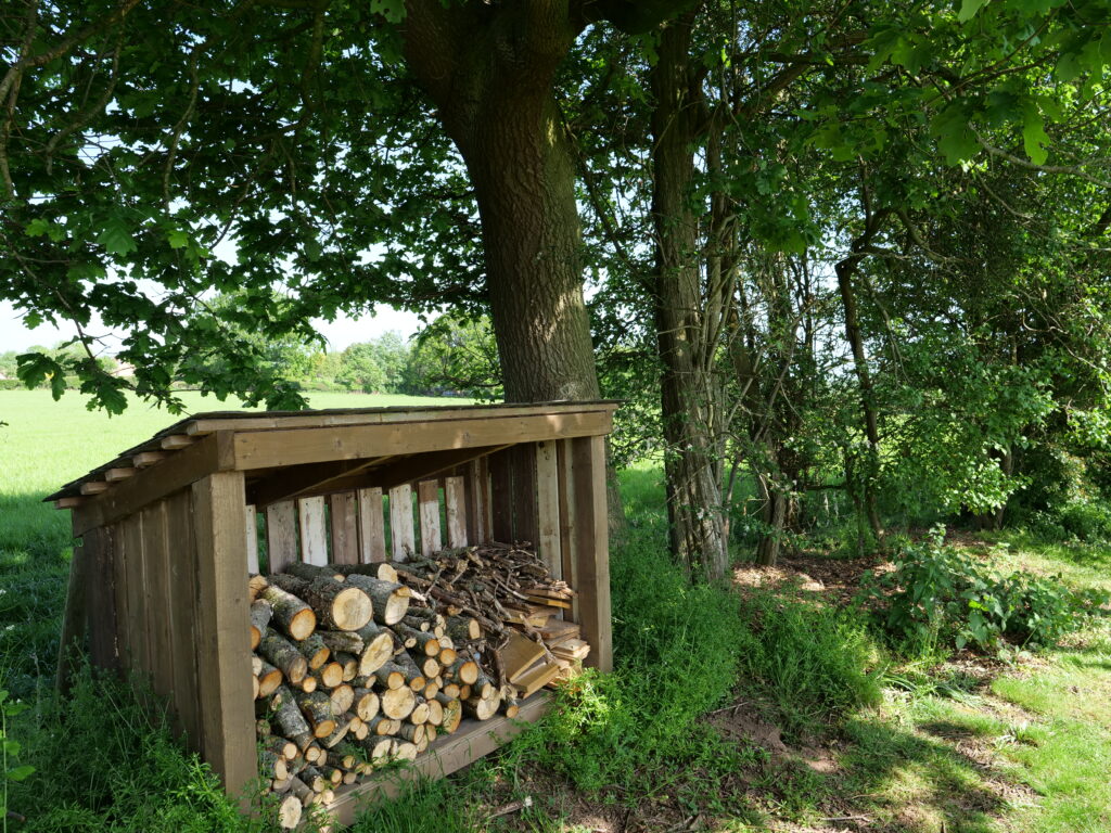 Firewood