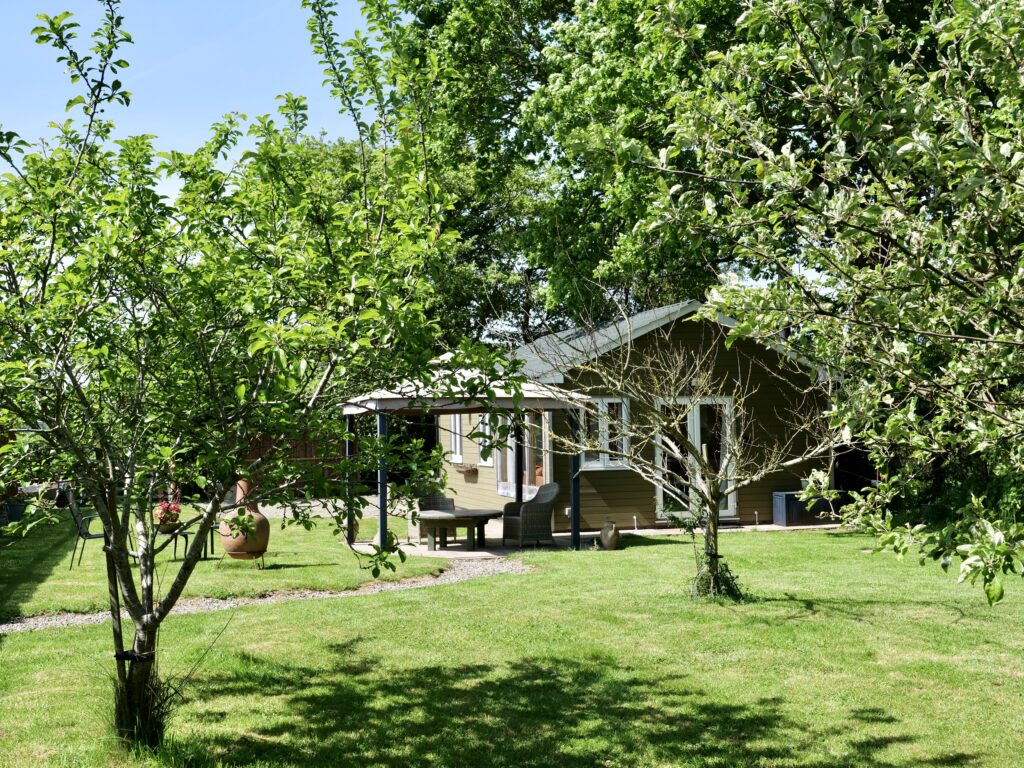 Bearwood Cabin Main Picture