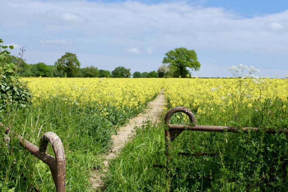 Herefordshire countryside near Bearwood Cabin accommodation